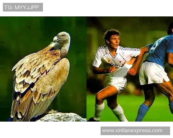 巴西足球球星绰号背后的文化内涵与传奇故事揭秘 巴西足球球星绰号背后的文化内涵与传奇故事揭秘